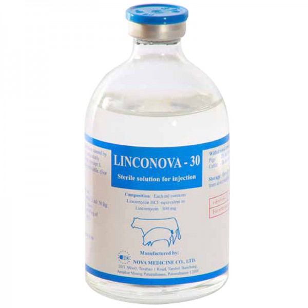 linconova-30